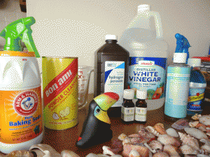 These are among the safest products with which to clean because they're natural
