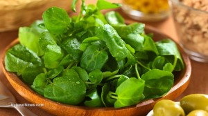 Watercress rates #1 for overall nutrient levels