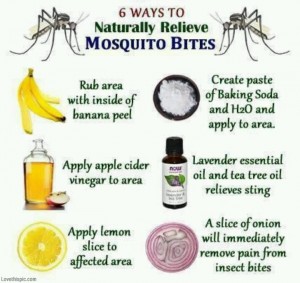 Mosquito bite remedies