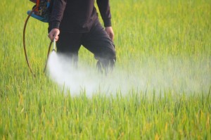 Applying pesticide to fields