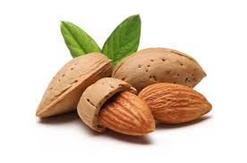 Once almonds were very nutritious
