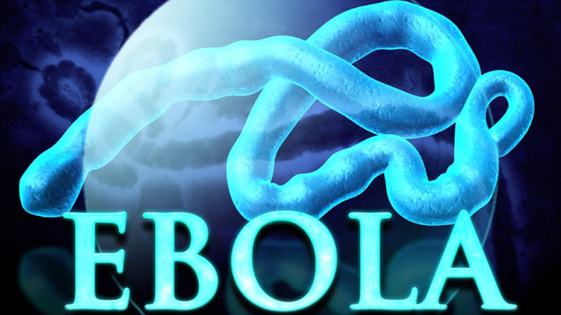 ebola4