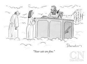 your cats are fine