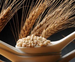 Barley has many health benefits and is inexpensive